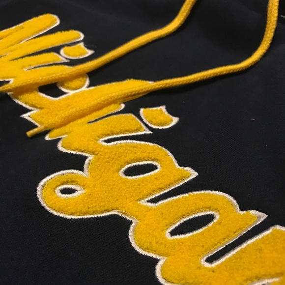 Michigan Hoodie - Picture 3 of 5